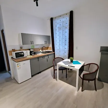 主廣場多樣公寓 Braşov Exterior photo