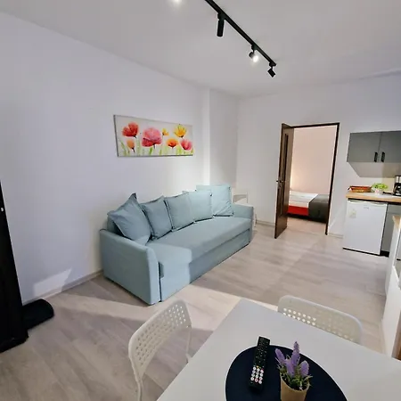 主廣場多樣公寓 Braşov Exterior photo