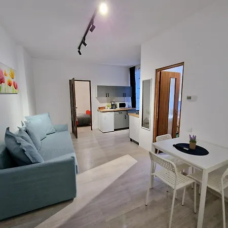 主廣場多樣公寓 Braşov Exterior photo